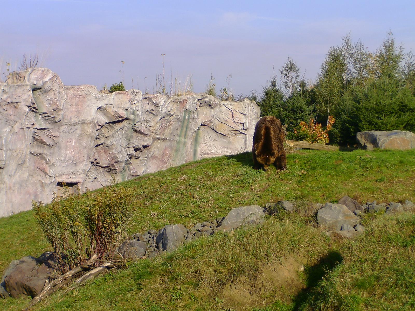 Zoom 18.10.08-030.jpg